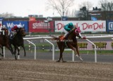 img_8551c.jpg (Royal Legend)