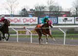 img_8552c.jpg (Royal Legend)