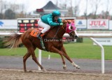 img_8557c.jpg (Royal Legend)