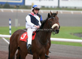 img_8393c.jpg (Tinkerbell)