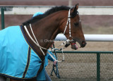 img_8767c.jpg (Sharp View)