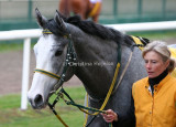 img_8774c.jpg (Stormy Grey)