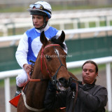img_8804c.jpg     (Royal Miswaki)