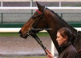 img_8860c.jpg (Double Up)