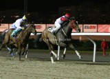 img_9203c.jpg (China Wind & Trainer's Trail)