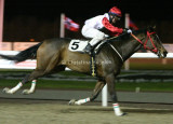 img_9205c.jpg (Trainer's Trail)