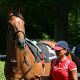 img_8395b.jpg (Flashline)