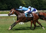 img_8644b.jpg (Corteez Pride)