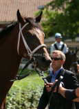 img_8737b.jpg (Titbit Rose)