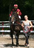 img_8847b.jpg (Kronhjort)