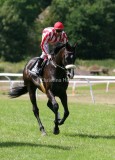 img_8873b.jpg (Fly Society)