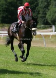 img_8874b.jpg (Fly Society)