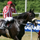 img_8895b.jpg (Fly Society)