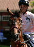 img_8960b.jpg (Hoffmann)