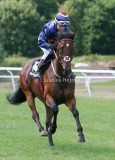 img_9001b.jpg (Druid)