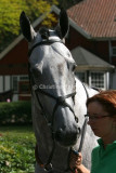 img_9312b.jpg (Lumen)