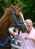img_9727b.jpg (Boob's Pressure)