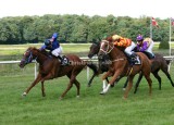 img_9835b.jpg (Leonard Jerome Handicap)