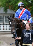 img_7486b.jpg (Barbinouche)