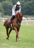 img_7498b.jpg (Red Attack)
