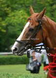 img_7597b1.jpg (Finish First)