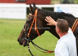 img_7848b.jpg (Zuperzebranzozo)
