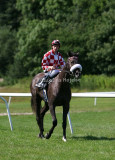 img_0985c.jpg (Fortyfour)