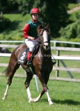 img_1038c.jpg (Smoover)