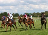 img_1056c.jpg (Vintage Crop Handicap)