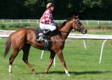 img_1150c.jpg (Nassau Style)