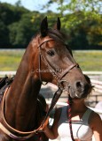 img_1391c.jpg (Mr Sand)