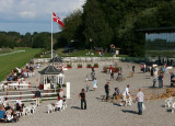 img_1693c.jpg