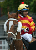img_1762c.jpg (Honfleur)