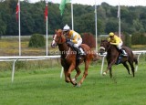 img_2632c.jpg (Scat & Sitano)