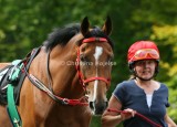 img_2665c.jpg (Feuer Claus)