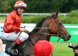 img_2715c.jpg (Rock of Kildare)