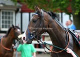 img_3438c.jpg (Clauses Cherie)