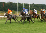img_3507c.jpg (Dansk Oaks)
