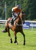 img_3622c.jpg (Maximus)