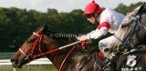 img_3668c.jpg (Rex Shipping & Breeders Hope)