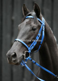 8760a.jpg (Finn Ind Again)
