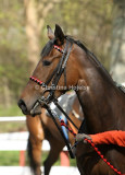 4264b.jpg (Miss Kelly)