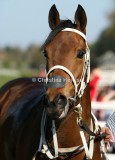 5578b.jpg (Salontyre)