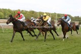 6788b.jpg (N. Bronton-Jensen Handicap)