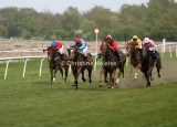 7716b.jpg (Otto Scavenius Handicap)