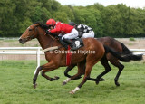 9064b.jpg (Runner Runner & Yodl)