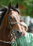 6120c.jpg (Irish Anderson)