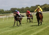 7555c.jpg (Sir Randolph & Half Dane & Zaphir))