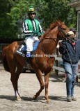 7722c.jpg (Count Almaviva)