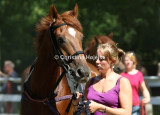 0711d.jpg (Moonlight Gambler)